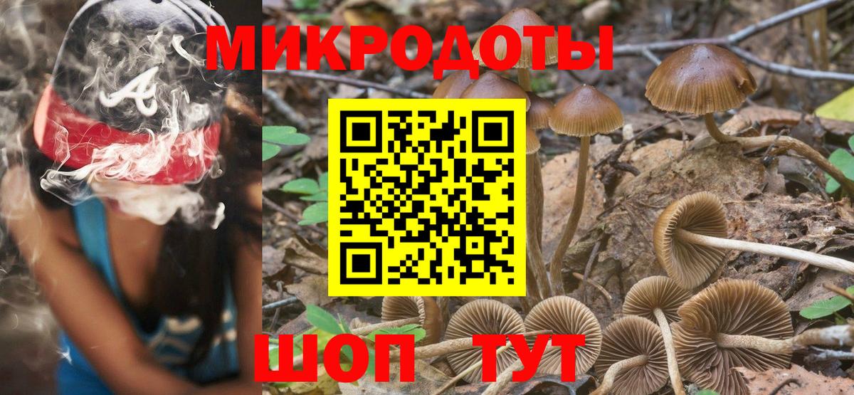 Псилоцибиновые грибы Psilocybine cubensis  Псилоцибиновые грибы Psilocybe  Спасск-Дальний  Вход с VPN 