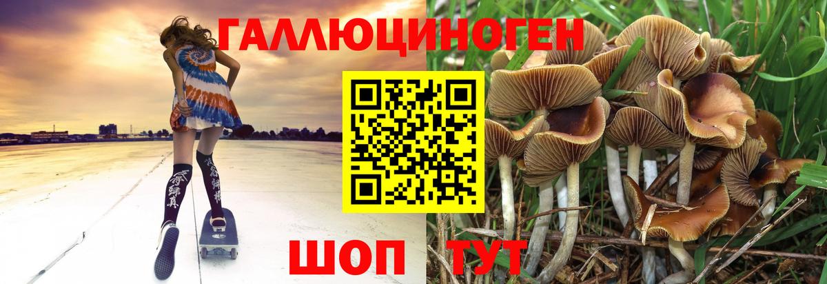 Галлюциногенные грибы мицелий Спасск-Дальний